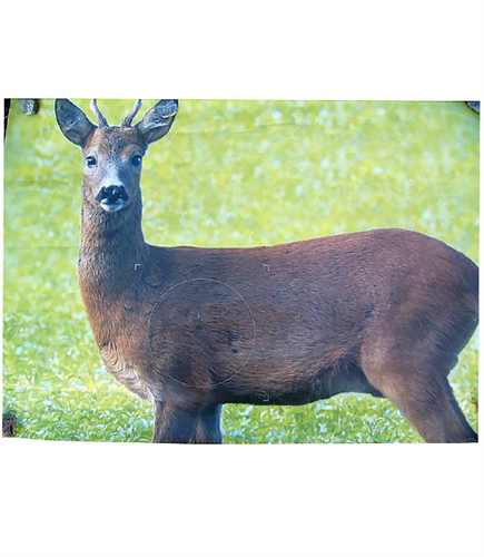 Dansk rådjursplansch